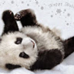 Meet your Posher, Shayna